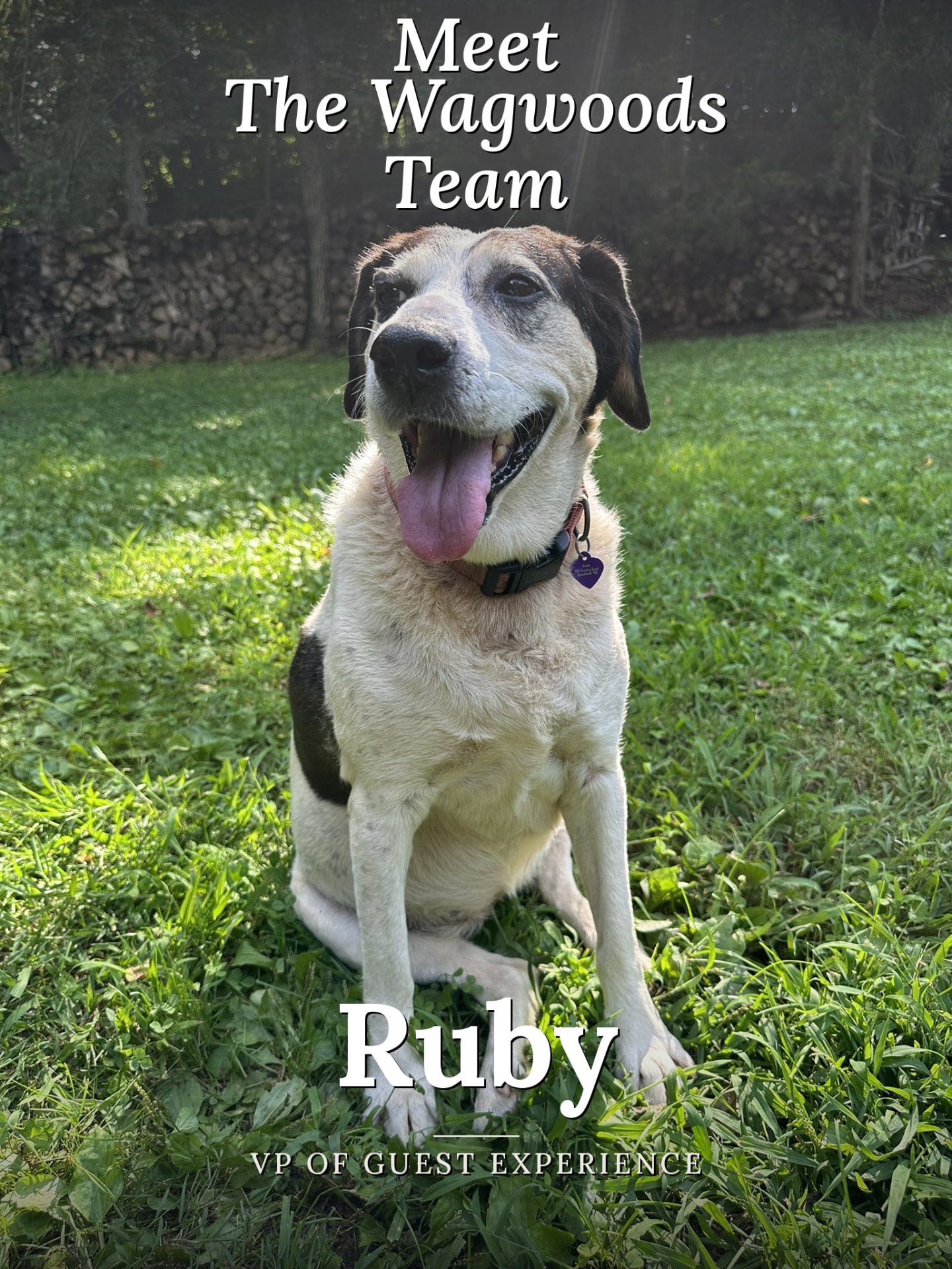 Ruby, VP of Guest Experience, smiling on the lawn
